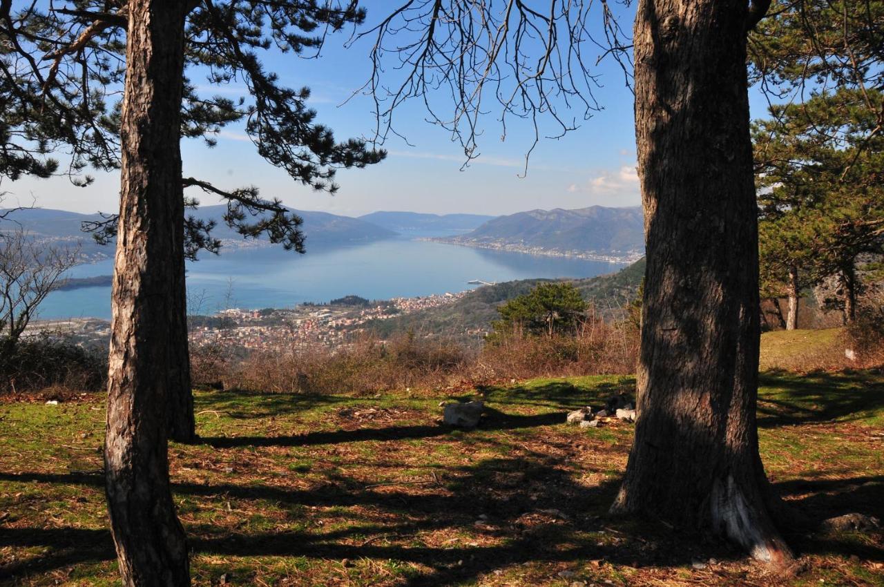 Vila Djuro Mikijelj Apartment Donji Stoliv Bagian luar foto